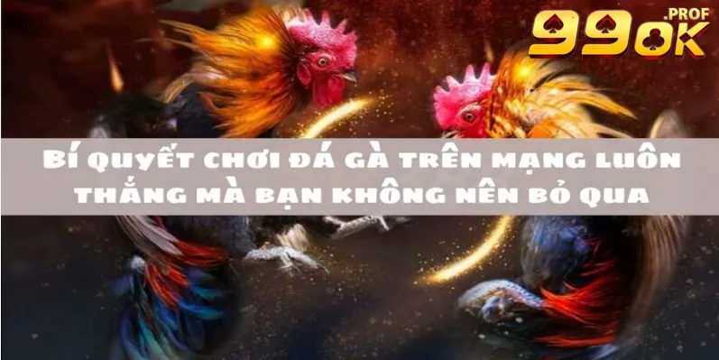 Đá Gà Philippines 99OK: Cẩm Nang Về Trò Chơi Truyền Thống Thú Vị 4 Chiến thắng đá gà với những mẹo chơi hiệu quả