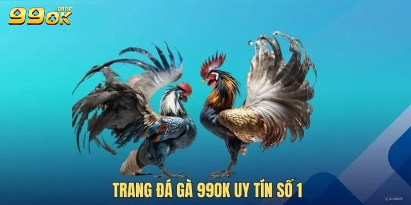 Đá Gà 99ok 2 Những điểm mạnh được đánh giá cao tại đá gà 99ok
