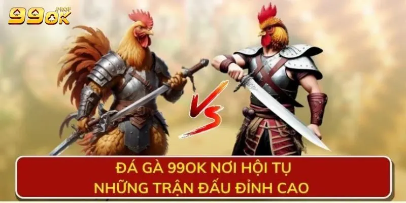 Đá Gà 99ok 3 99ok cung cấp một số cách thức đá gà đẳng cấp